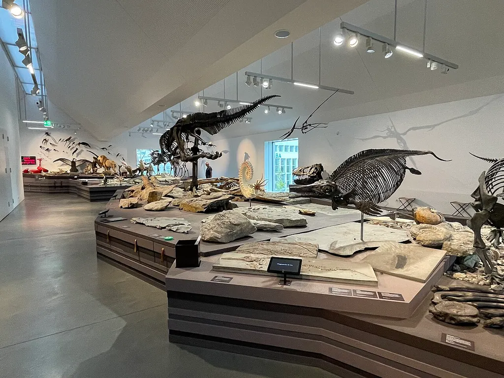 Naturmuseum St. Gallen in Saint-Gall