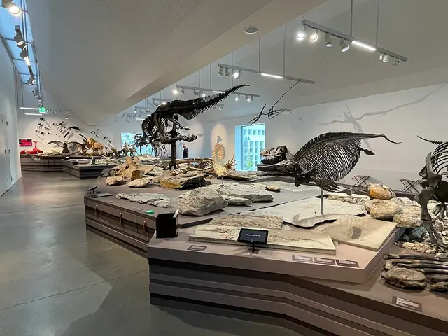 Naturmuseum St. Gallen in San Gallo