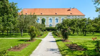 Schloss Dachau – Bild 2 von 6