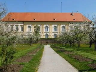 Schloss Dachau – Bild 3 von 6