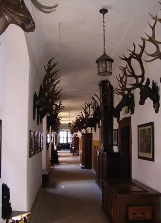 Schloss Greifenstein in Heiligenstadt in Oberfranken – Photo 5 of 8