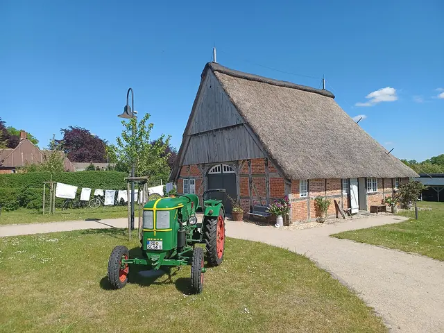 Schoolkat in Langwedel