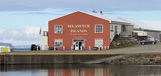Selasetur Íslands in Hvammstangi