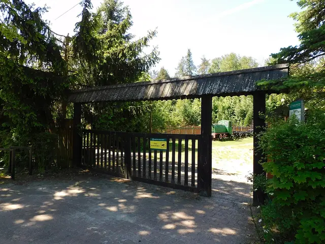 Skansen Kolei Leśnej w Janowie Lubelskim in Janów Lubelski – Bild 2 von 6