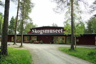 Skogs- och samemuseet in Lycksele