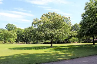 Sofiero slott och slottsträdgård in Helsingborg – Bild 9 av 9