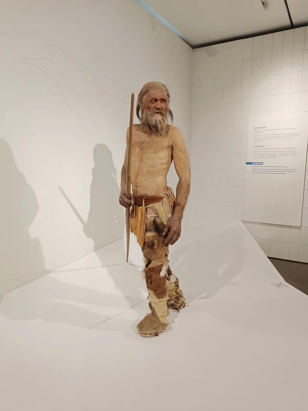 Südtiroler Archäologiemuseum in Bolzano – Foto 2 di 2