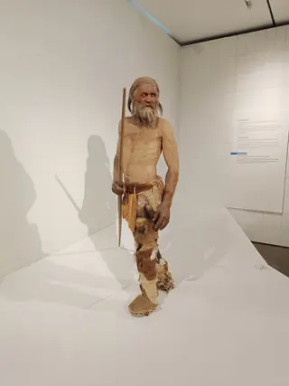 Südtiroler Archäologiemuseum in Bolzano – Foto 2 di 2