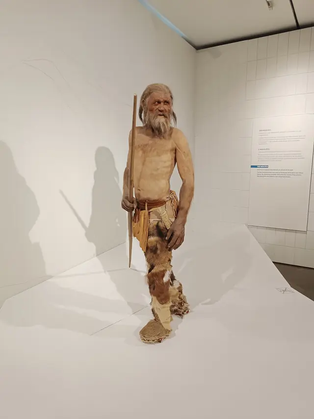 Südtiroler Archäologiemuseum in Bolzano – Foto 2 di 2