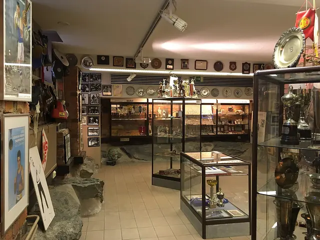 Suomen nyrkkeilymuseo in Tampere
