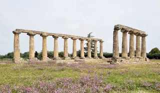 Tempio delle Tavole Palatine in Bernalda – Bild 3 von 3