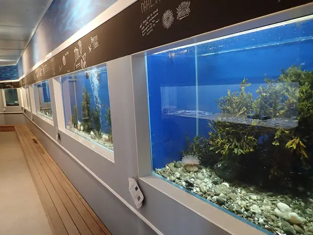 Robertson Museum in Millport – Photo 2 of 3