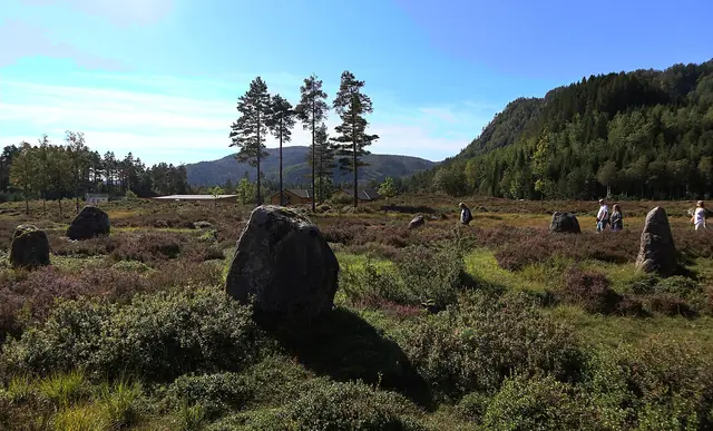 Tingvatn fornminnepark