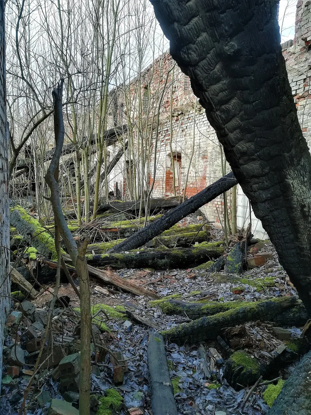 Twierdza Boyen in Giżycko – Zdjęcie 9 z 9