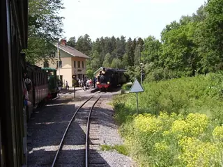 Lennakatten in Uppsala