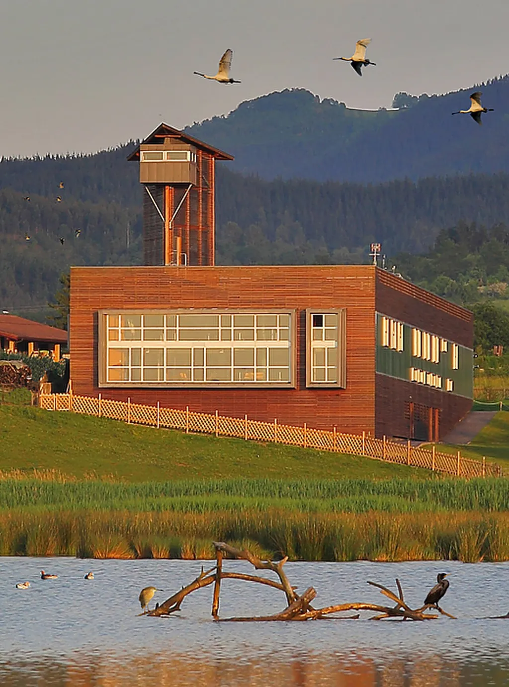 Urdaibai Bird Center in Gautéguiz de Arteaga