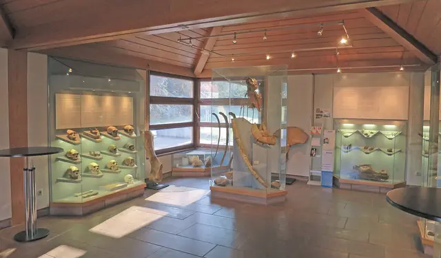 Urgeschichtliches Museum im Rathaus in Mauer
