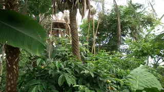Væksthusene i Botanisk Have in Aarhus – Photo 2 of 5