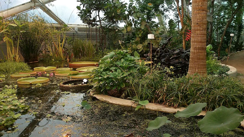 Væksthusene i Botanisk Have in Aarhus – Photo 3 of 5