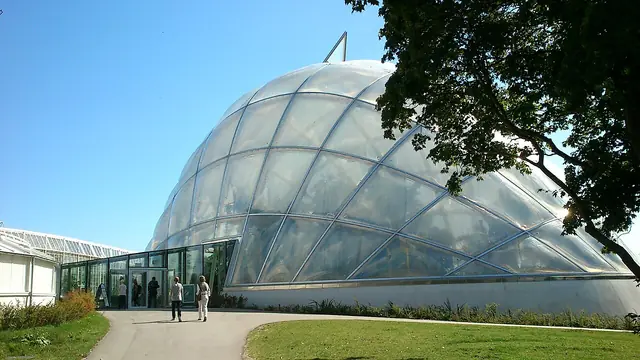 Væksthusene i Botanisk Have in Aarhus – Photo 4 of 5