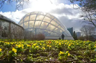 Væksthusene i Botanisk Have in Aarhus