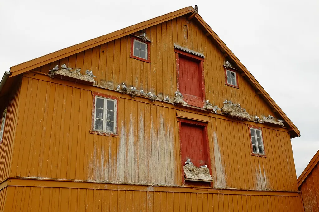Vardø museum – Bilde 3 av 4