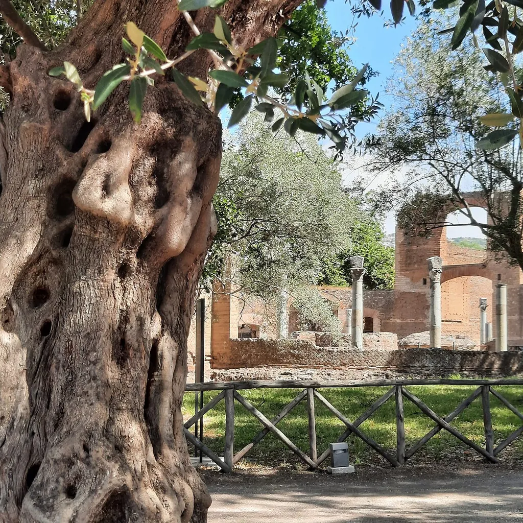 Villa Adriana in Tivoli – Bild 6 von 8