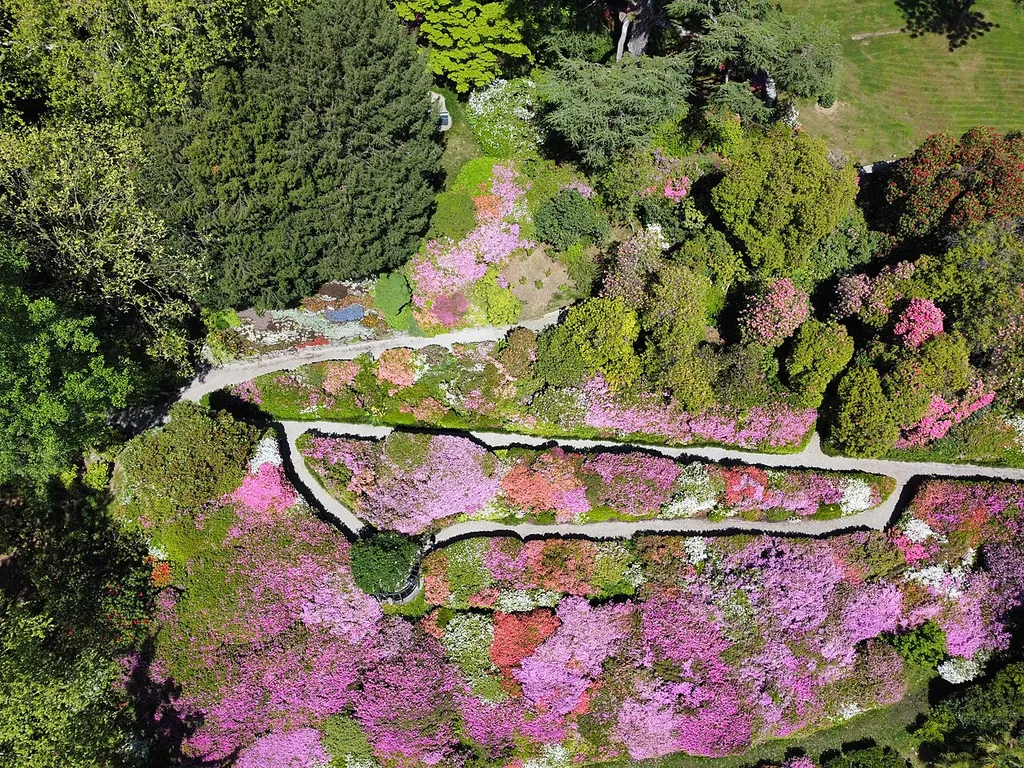 Villa Carlotta in Tremezzina – Foto 3 di 5