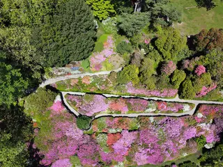 Villa Carlotta in Tremezzina – Foto 3 di 5