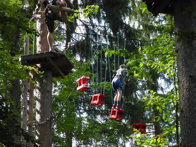 Walderlebniszentrum Grünwald – Photo 4 of 4