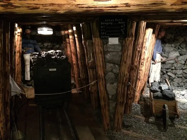 Weinbau- und Heimatmuseum Klingenberg in Klingenberg am Main