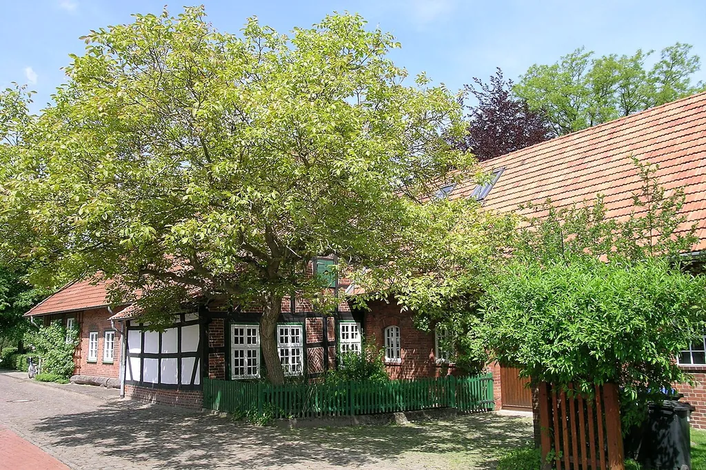Wilhelm-Busch-Geburtshaus in Wiedensahl