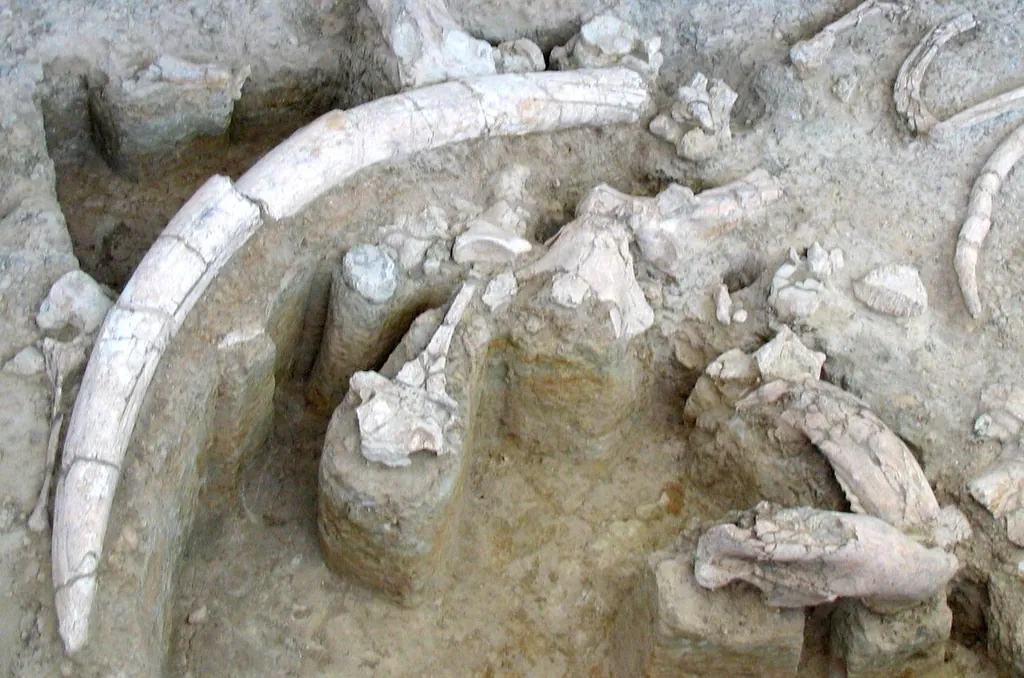 Yacimiento-Museo de Ambrona in Miño de Medinaceli