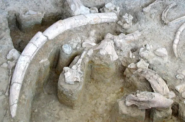 Yacimiento-Museo de Ambrona in Miño de Medinaceli